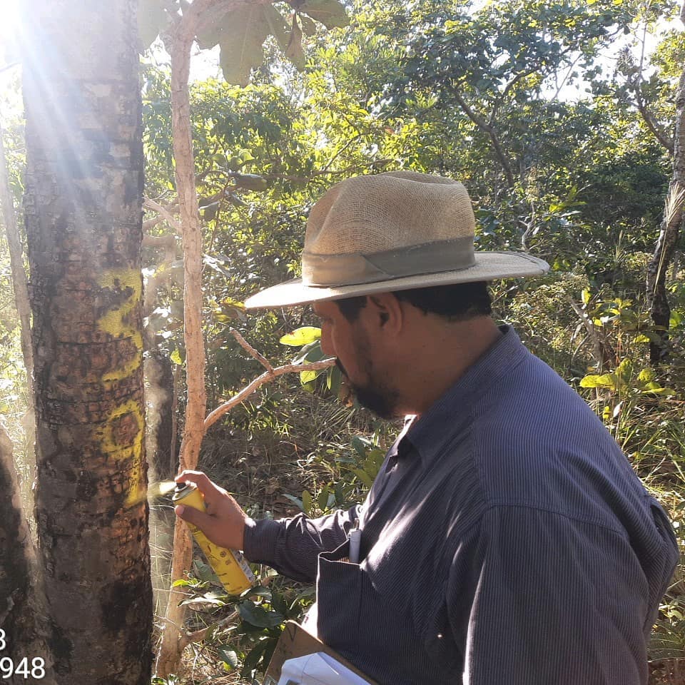 Levantamento de fauna e flora com o objetivo a conversão do uso do solo